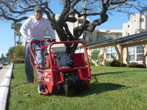 garden-maintenace-aeration